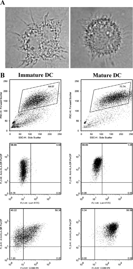 FIG. 3.