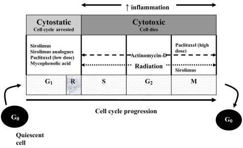 Figure 5)