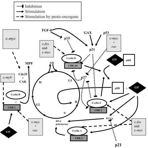 Figure 4)