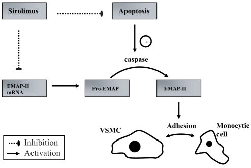 Figure 7)