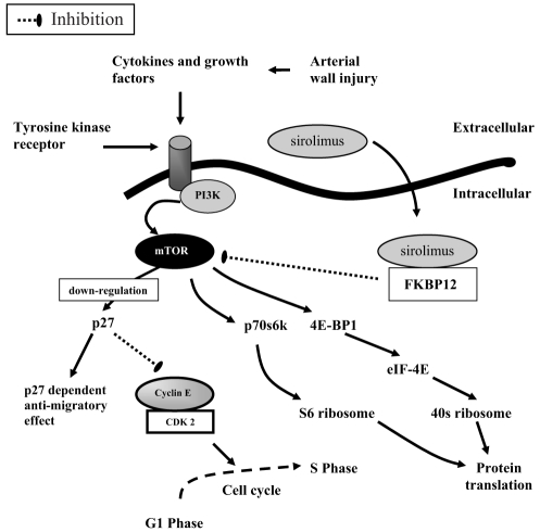 Figure 6)