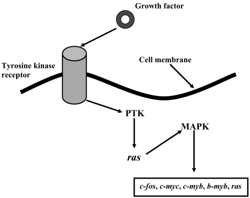 Figure 3)