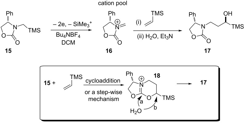 Scheme 5