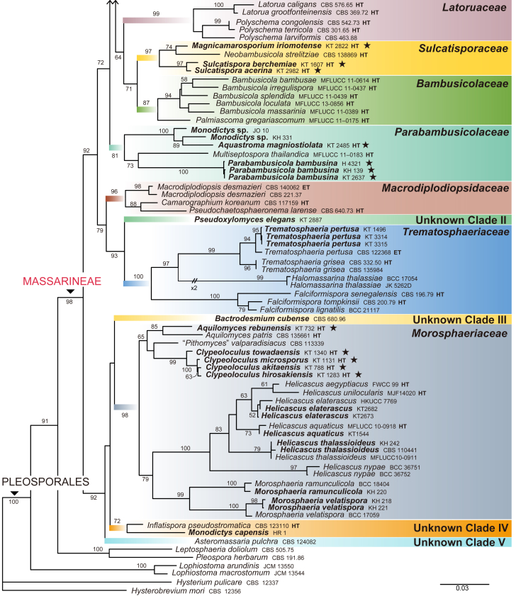 Fig. 1