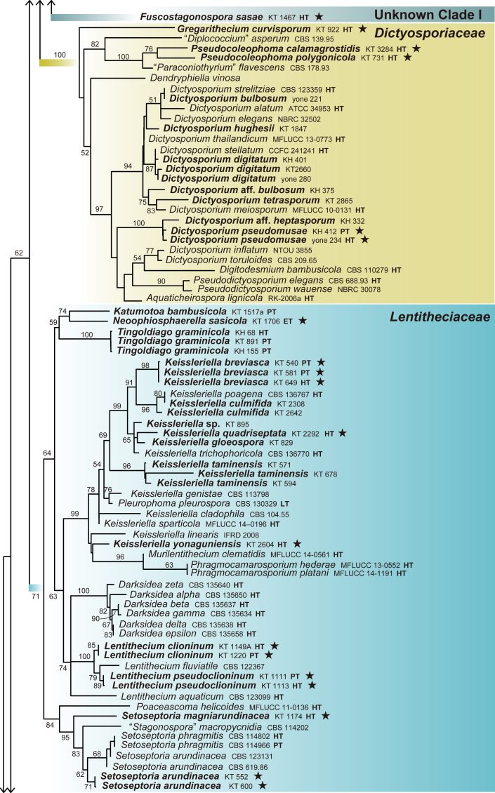 Fig. 1