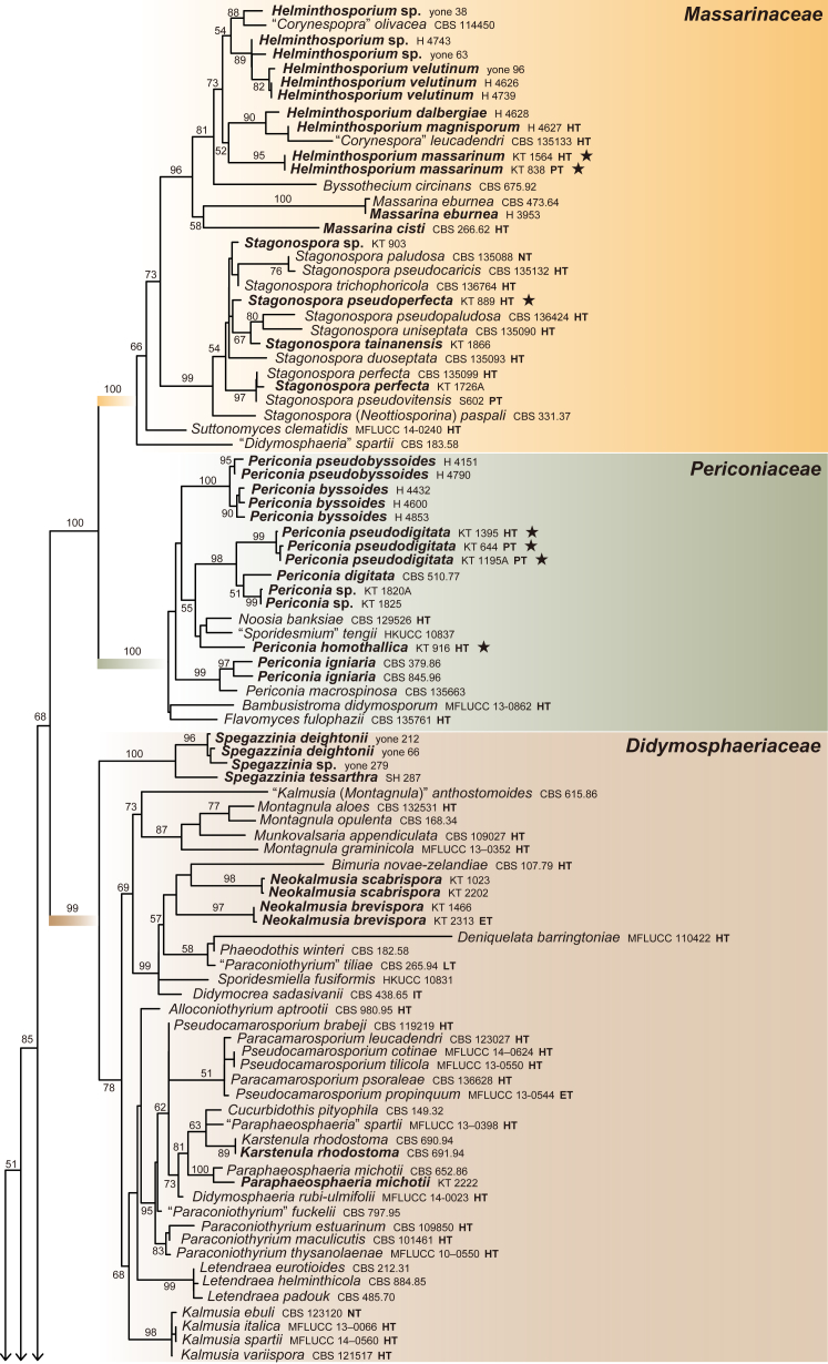 Fig. 1