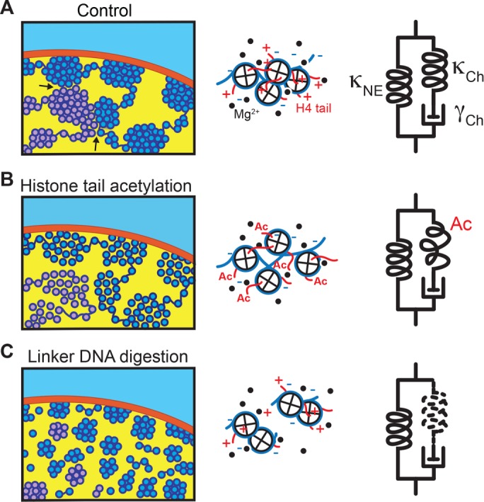 FIGURE 5: