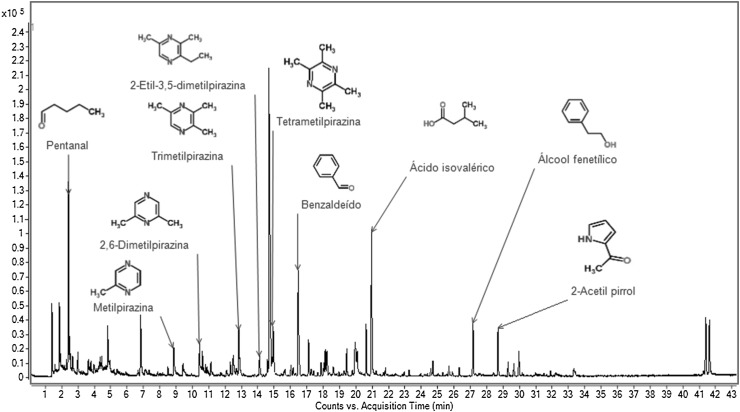 Fig. 1