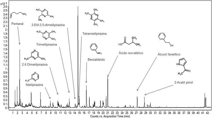 Fig. 2