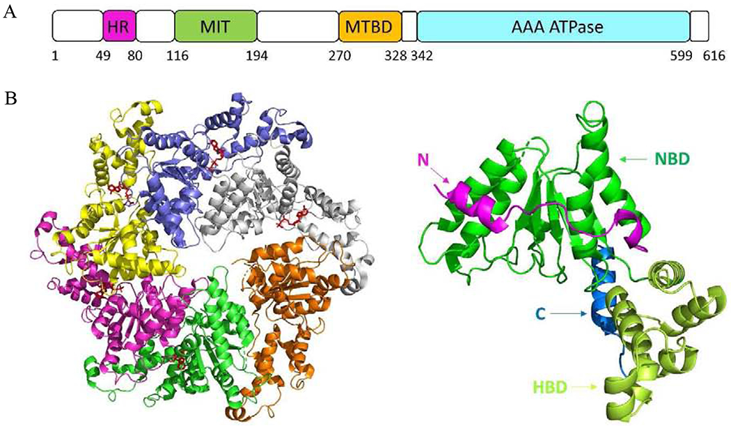 Figure 10.