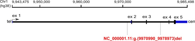 Fig. 3