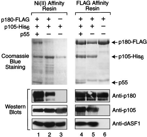 FIG. 7