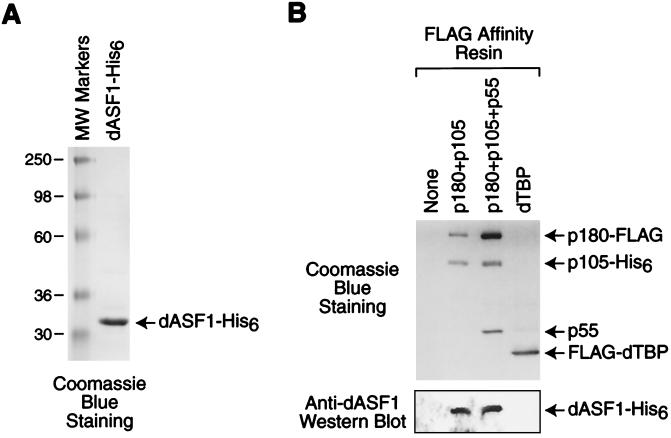 FIG. 8