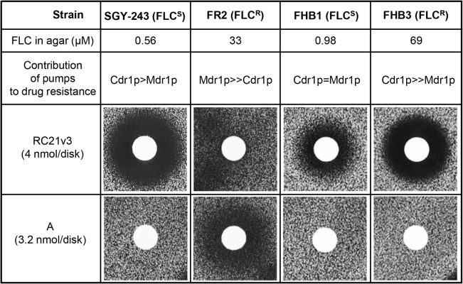 Fig 3