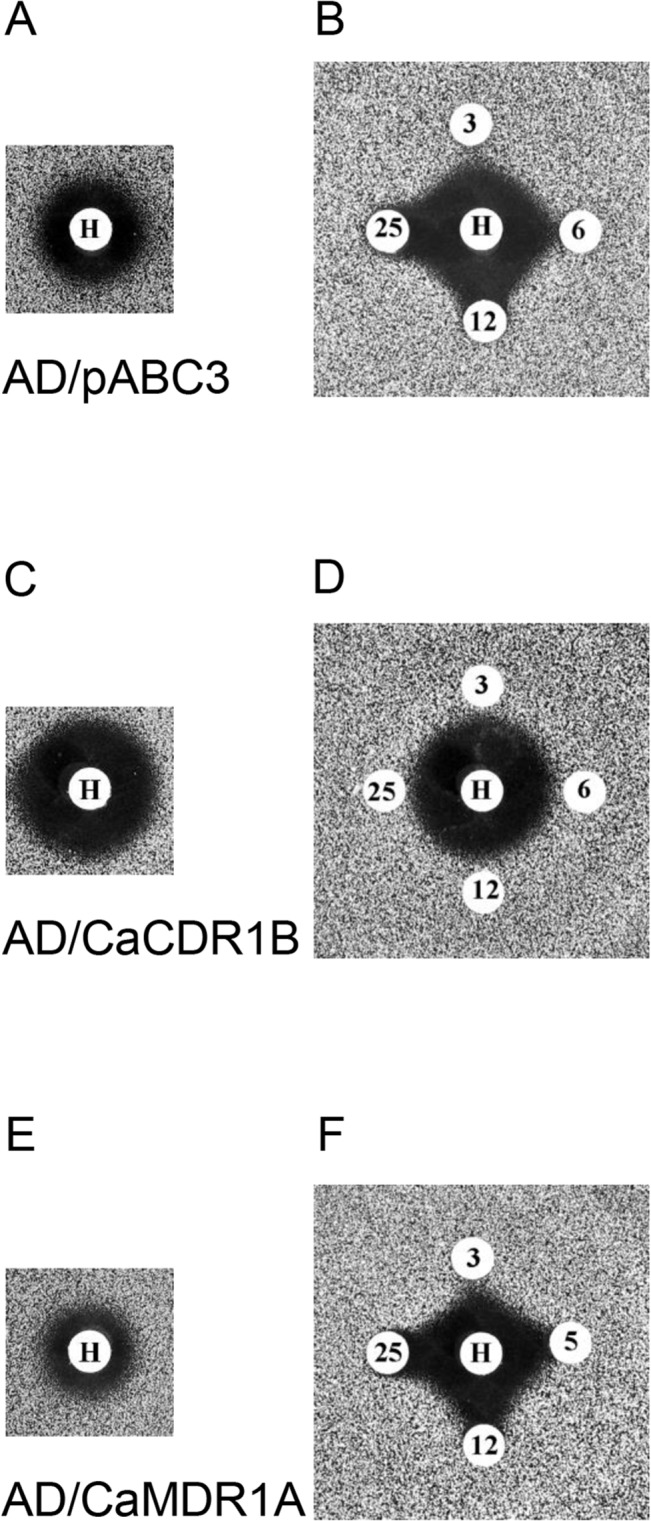 Fig 5