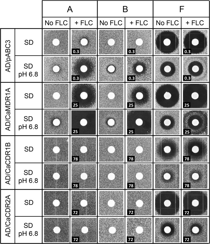 Fig 2