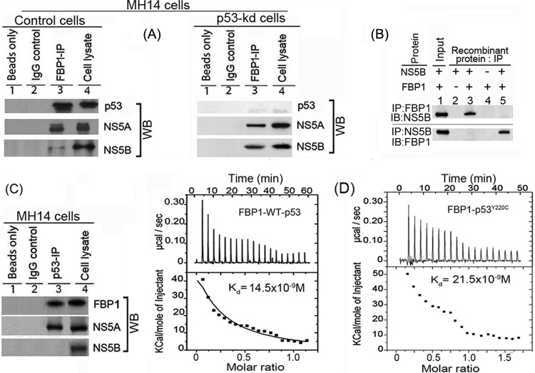 FIG 3