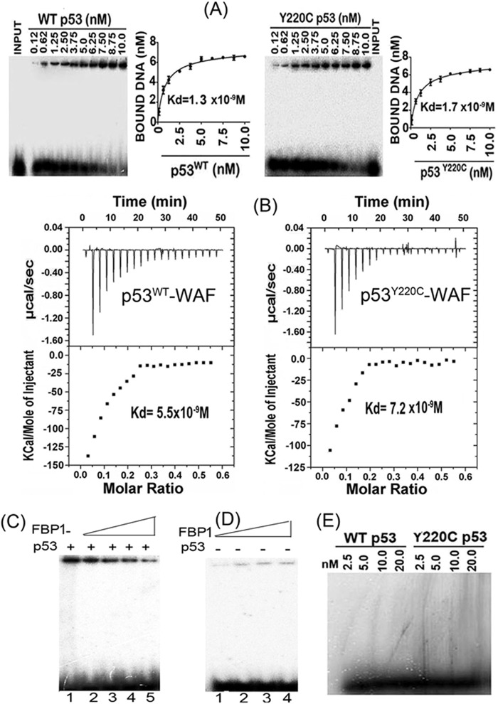 FIG 6