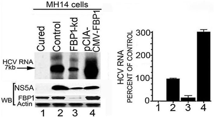 FIG 2