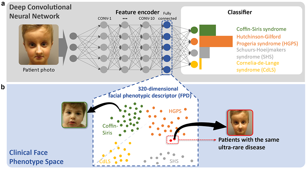 Figure 2: