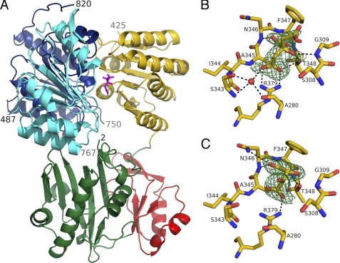 FIGURE 2.