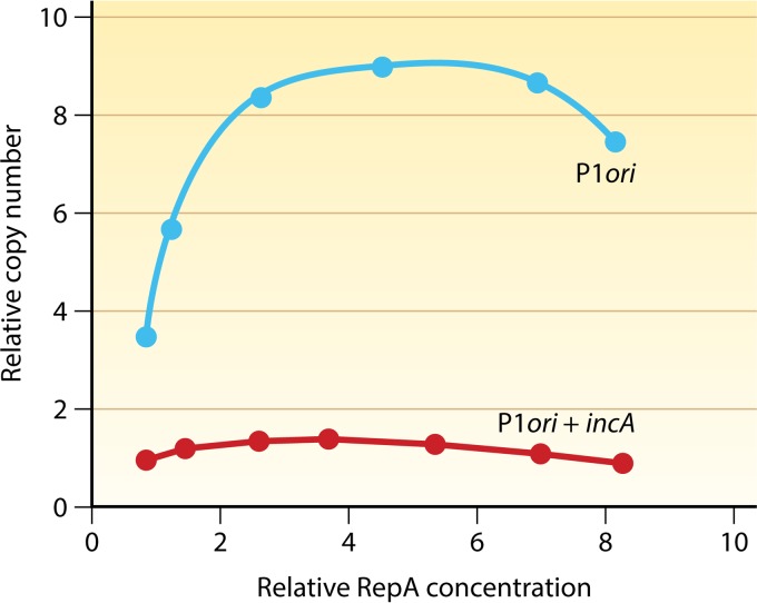 FIG 5