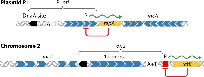 FIG 2