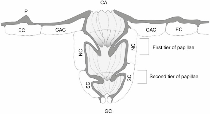 Fig. 2.