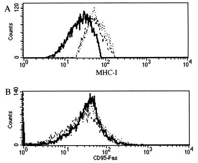 FIG.5.