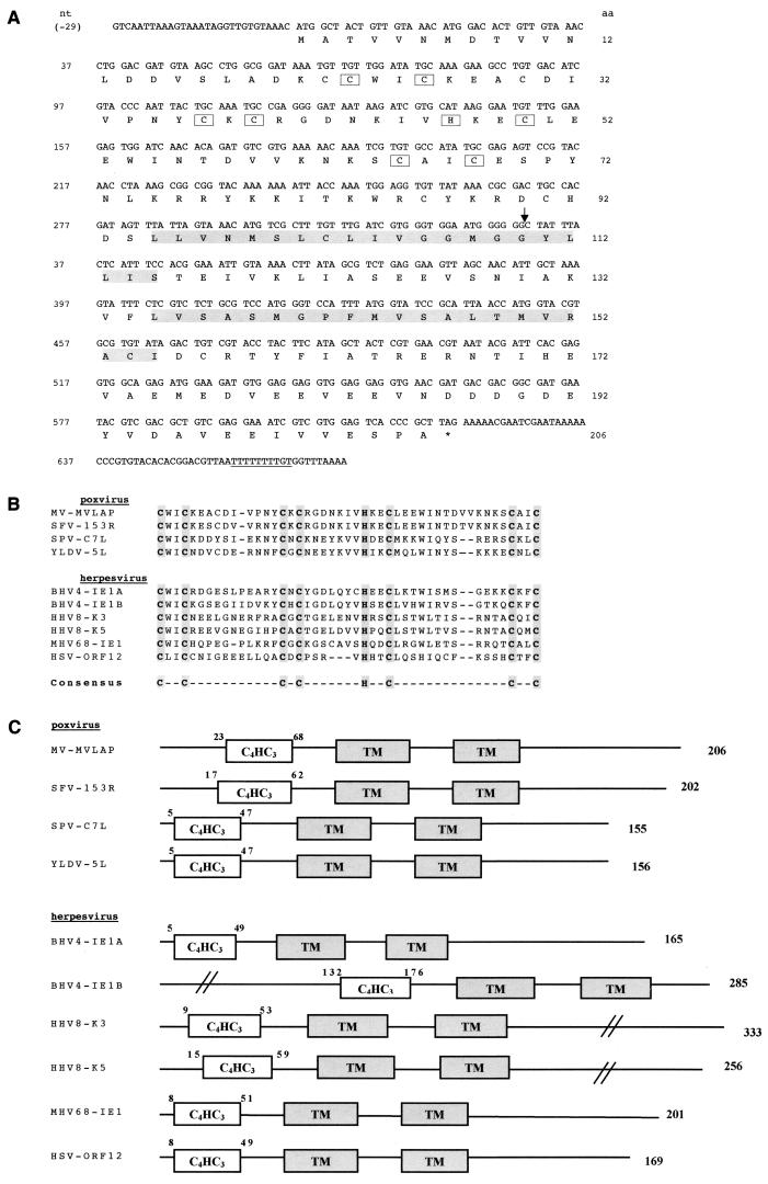 FIG. 1.