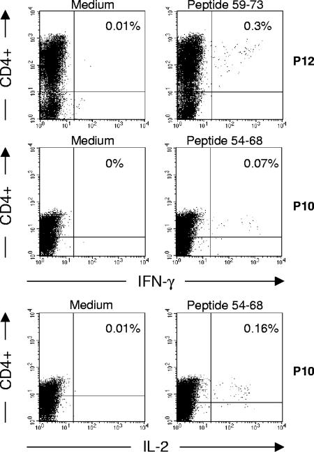 FIG. 6.