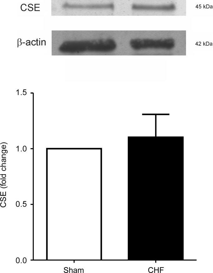 Fig. 9.