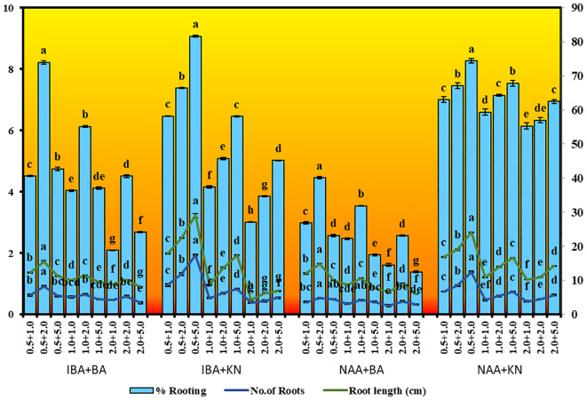 Figure 3
