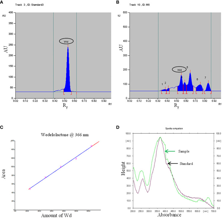 Figure 5