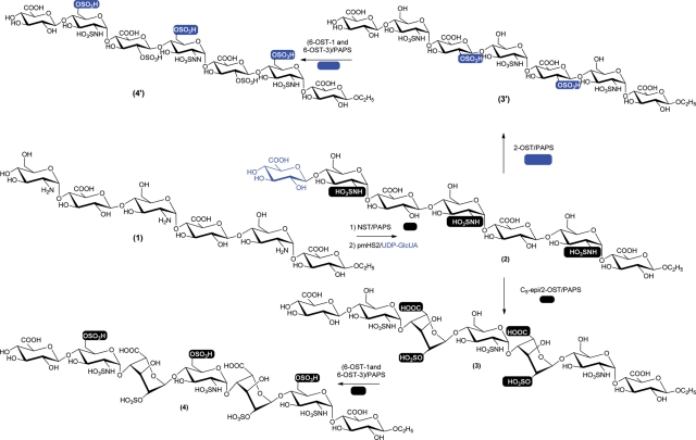 Fig. 3.