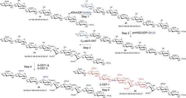 Fig. 6.