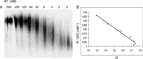 Fig. 8.