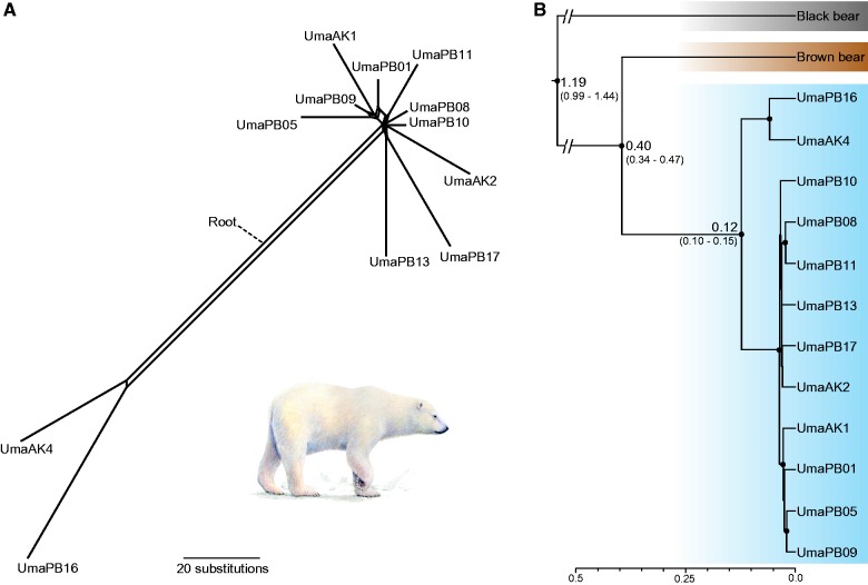 Fig. 4.—