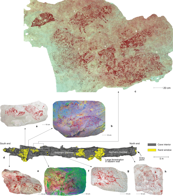 Extended Data Fig. 2