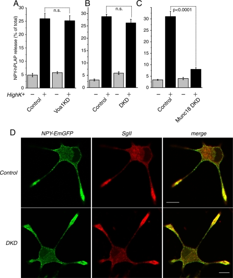 FIGURE 12: