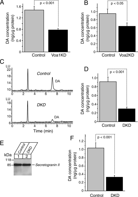 FIGURE 11: