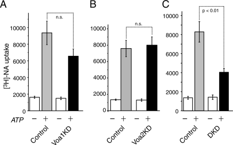 FIGURE 10: