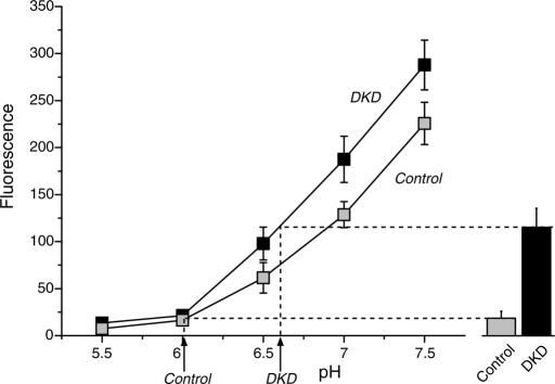 FIGURE 8: