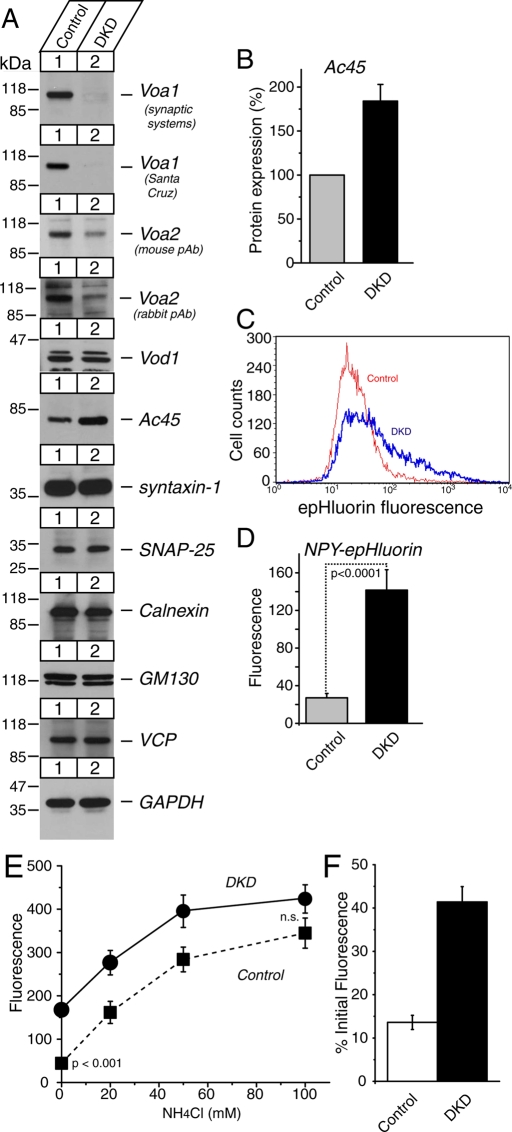 FIGURE 7: