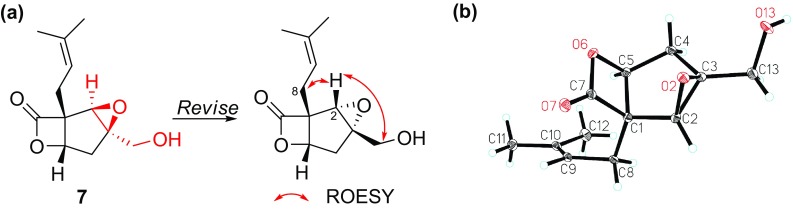 Fig. 5