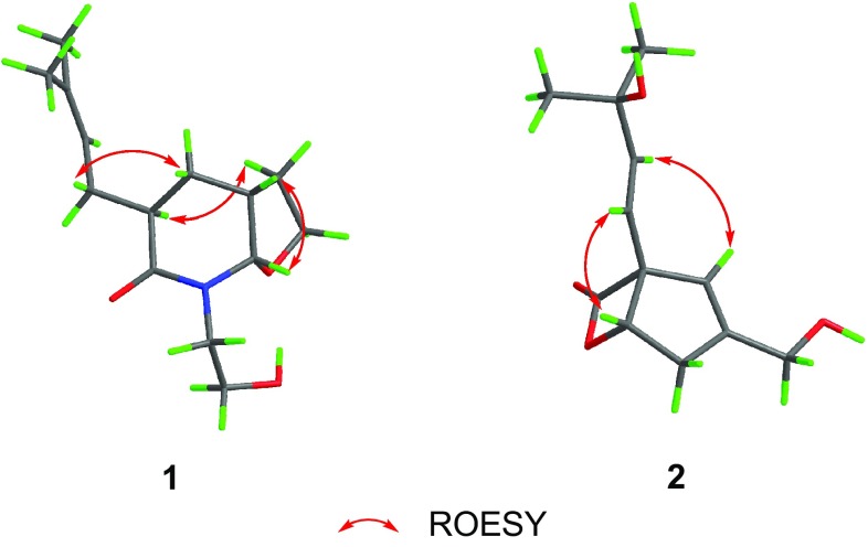 Fig. 3