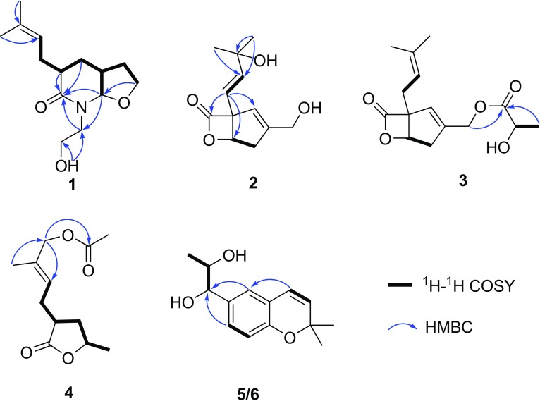 Fig. 2