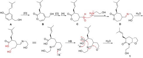 Scheme 1