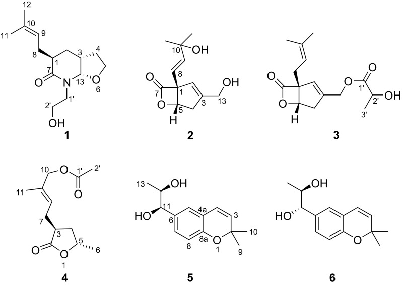 Fig. 1