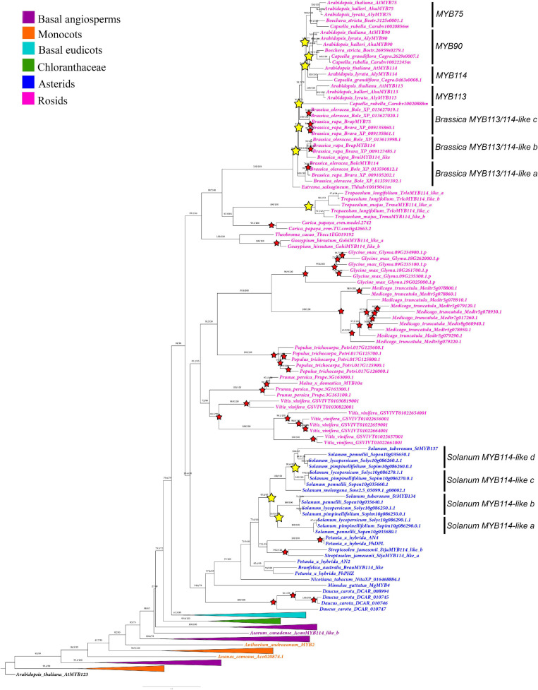 FIGURE 3